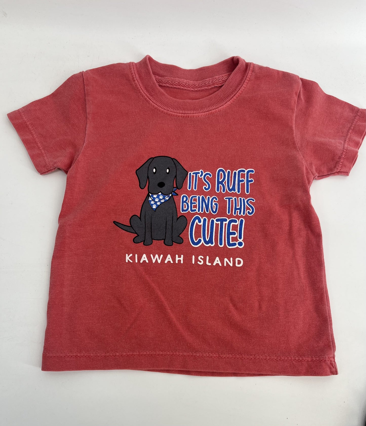 KI Inf/Toddler Tee - Elma Lab Paw Prints
