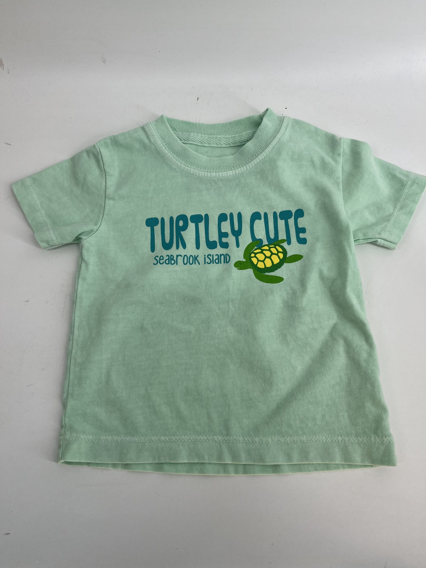 SI Inf/Todd Tee Lil Larry Sea Turtle