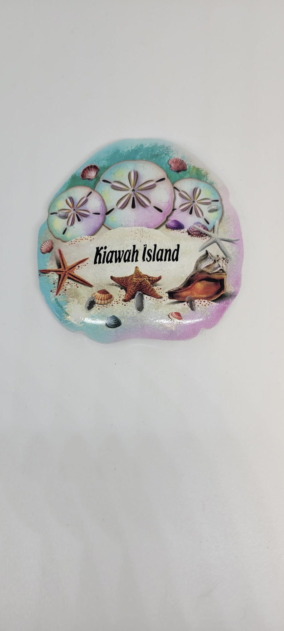 KI Shells Sanddollar Magnet