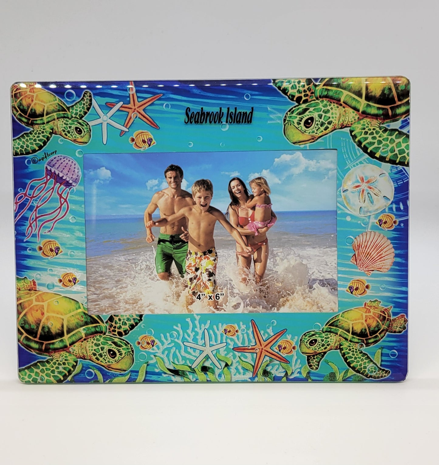 SI Turtle Glass Frame 4x6