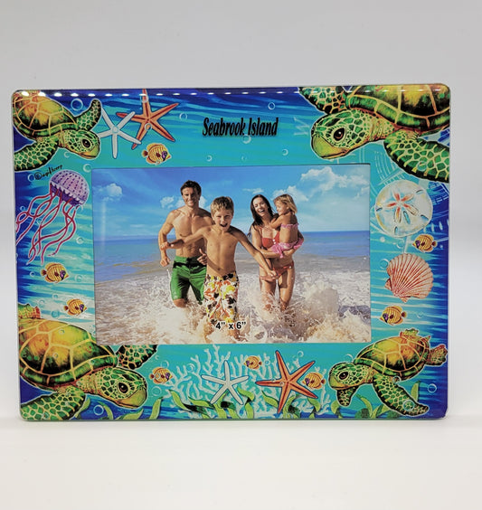 SI Turtle Glass Frame 4x6