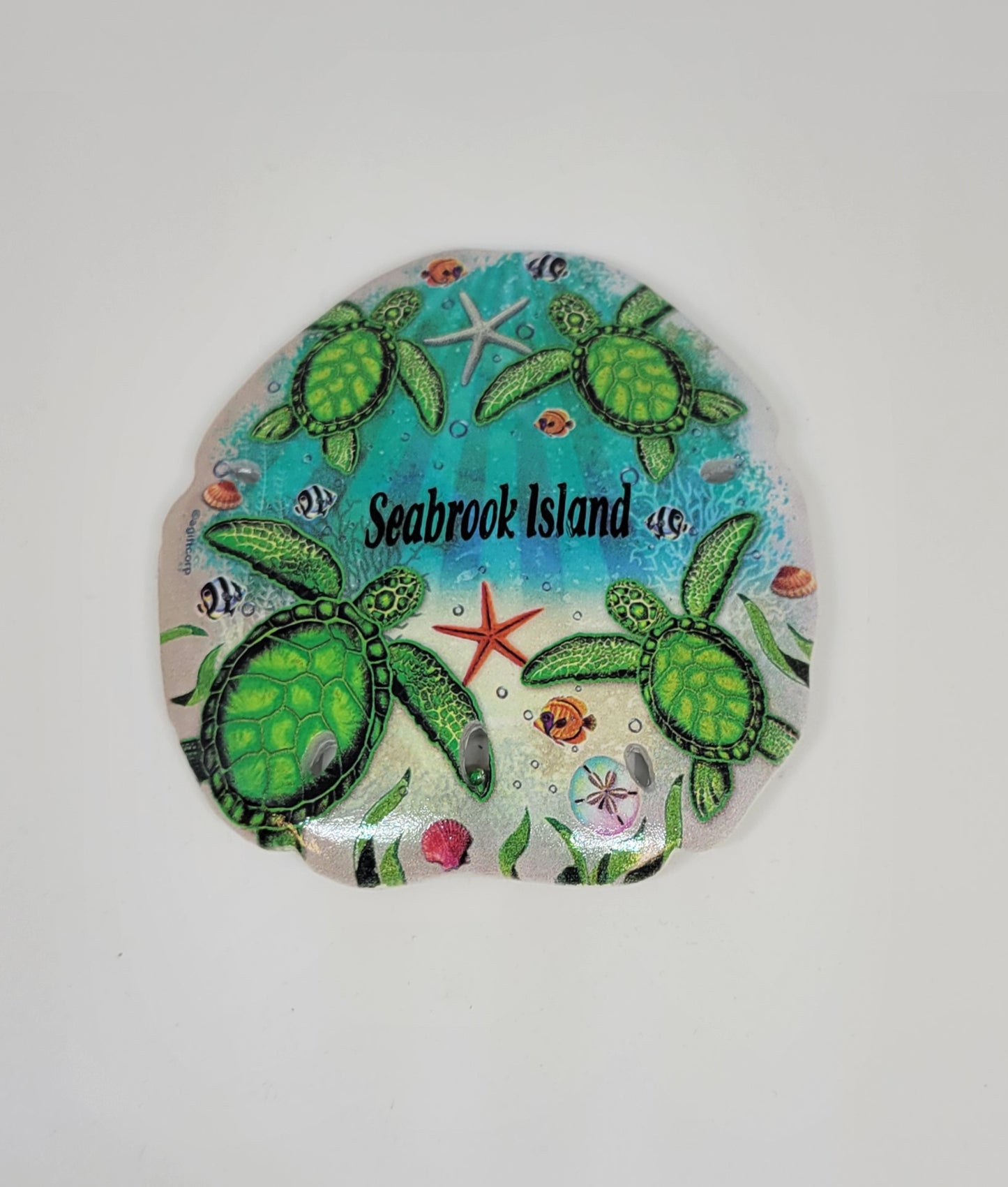 SI Turtles Sanddollar Magnet