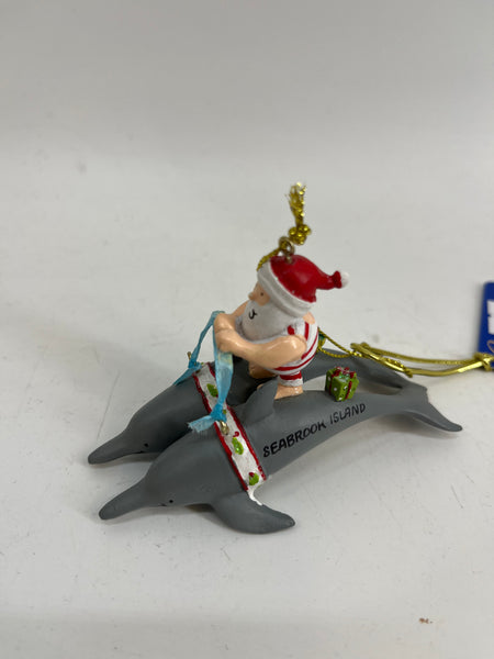SI Santa Swimming with Dolphin