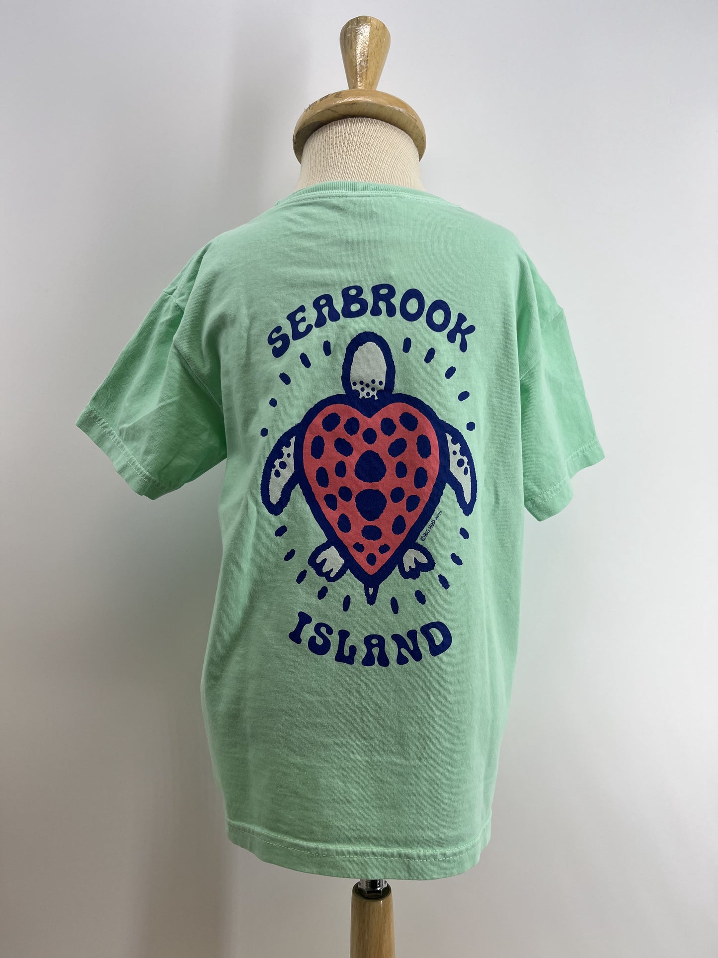 SI Yth CC Tee - Heart Turtle