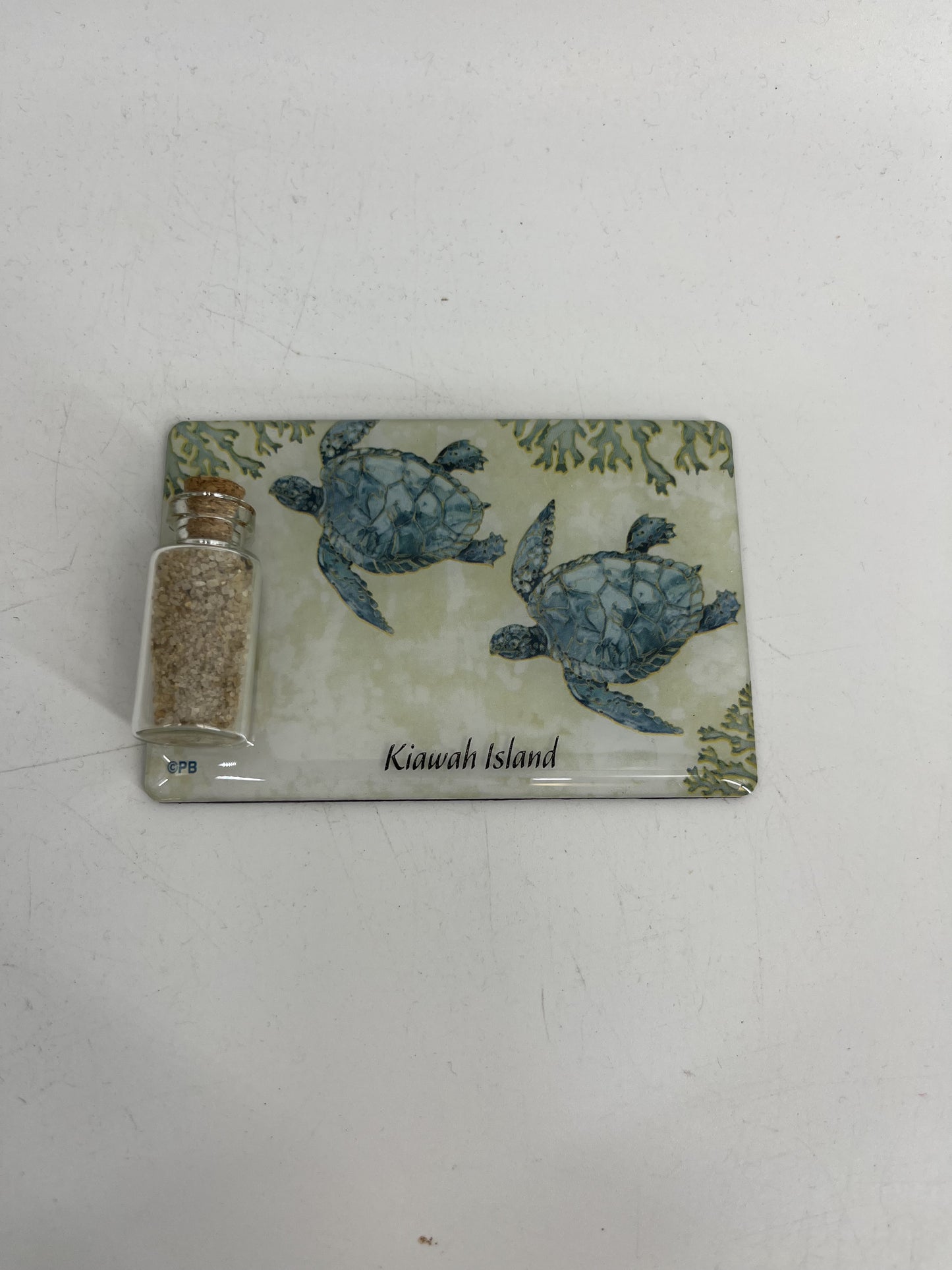 KI Jar Magnet Playa Sea turtle