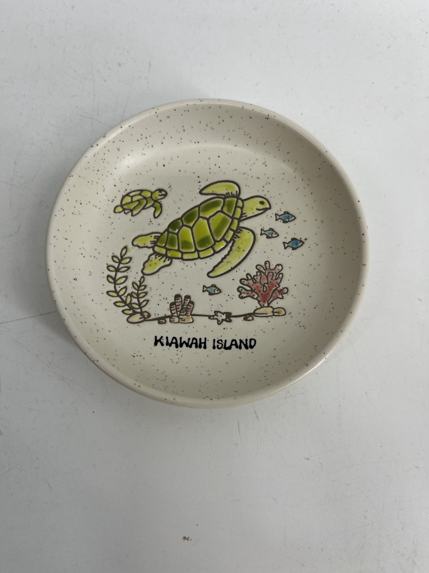 Mini Dish Turtle