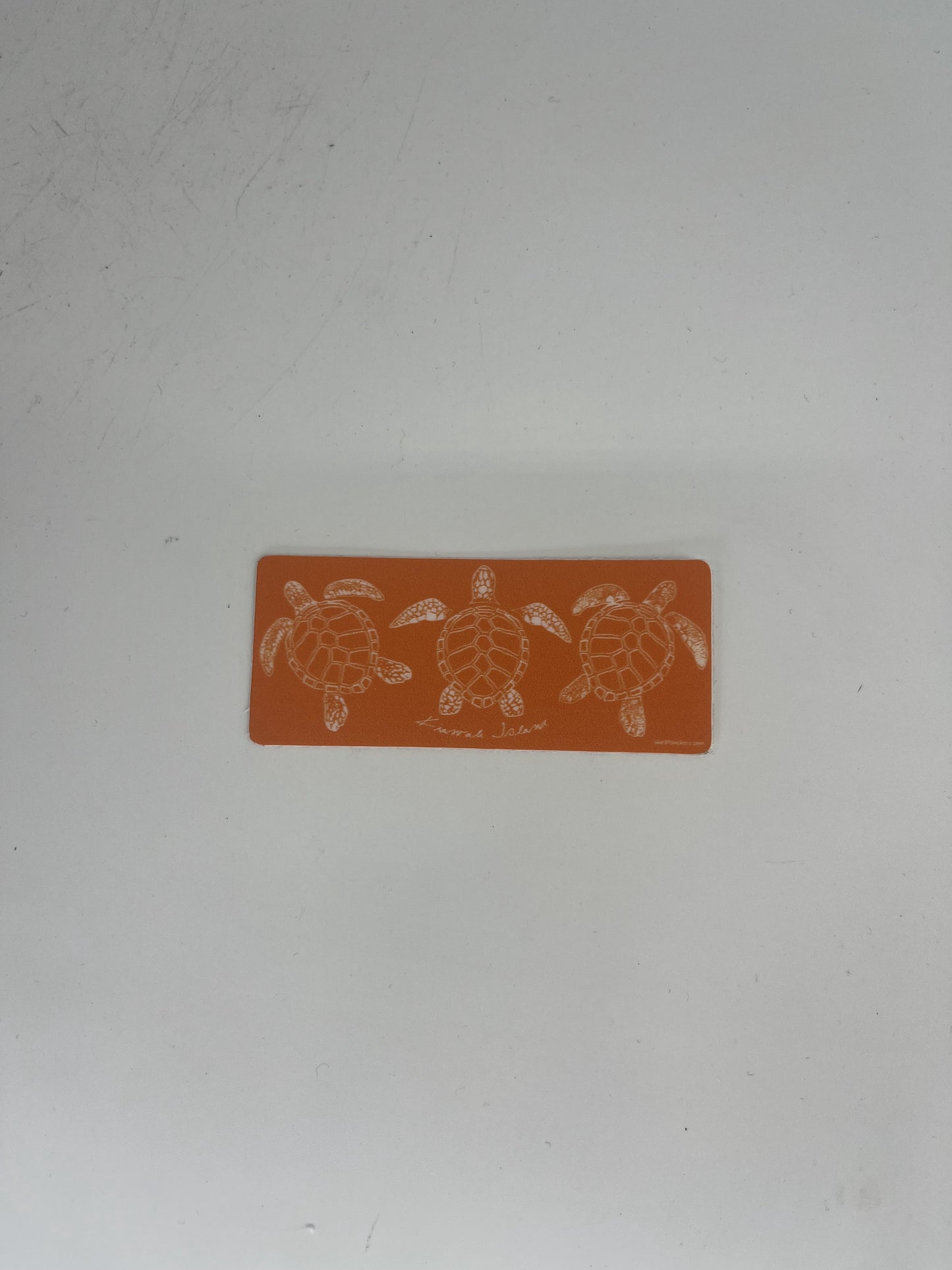 KI Patented Sea Turtles Decal