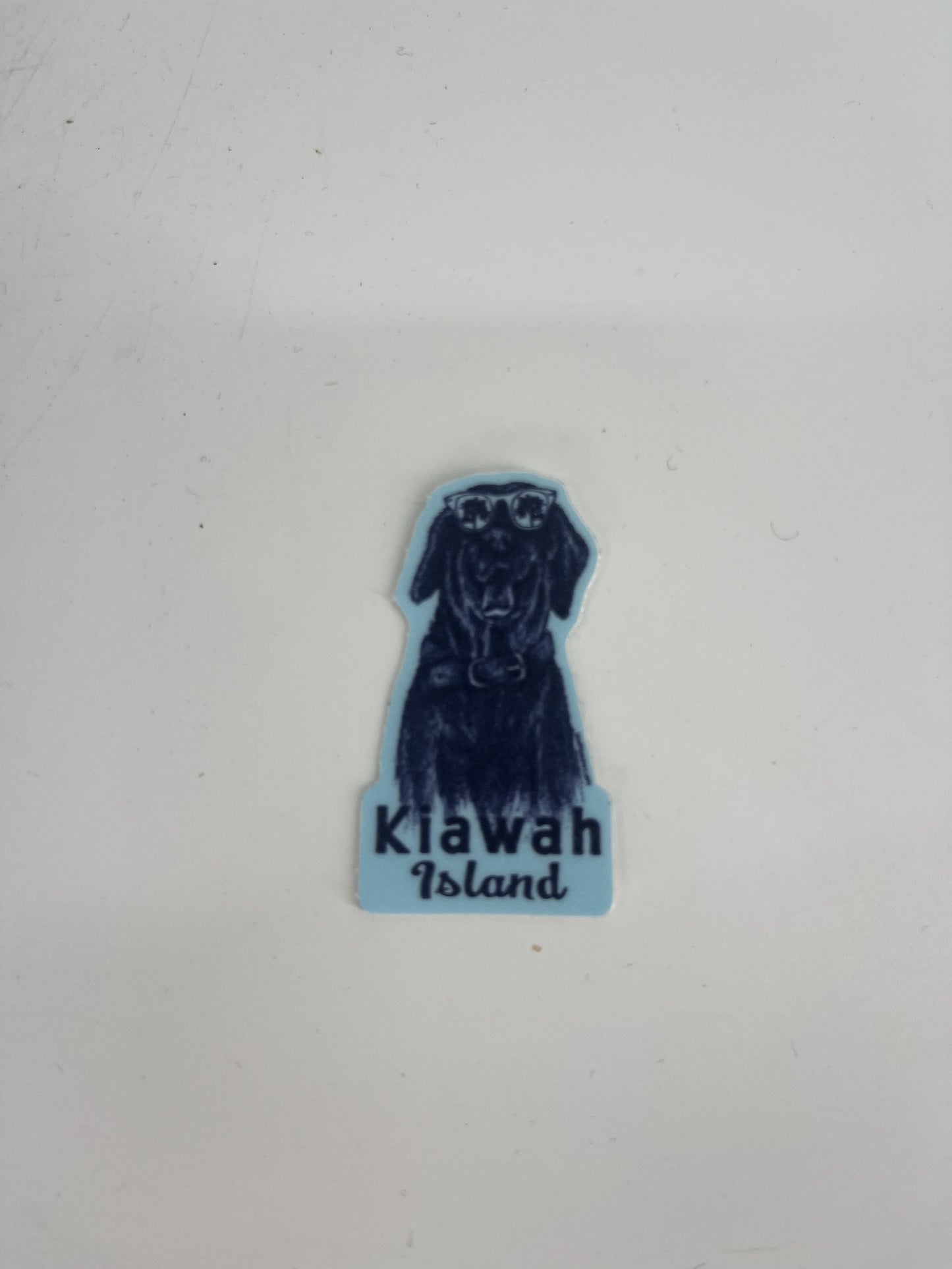 KI GLEEFUL LAB/SUNGLASSES/PALM MINI DECAL