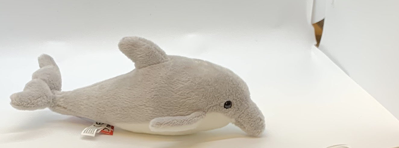 Surf Gray Dolphin