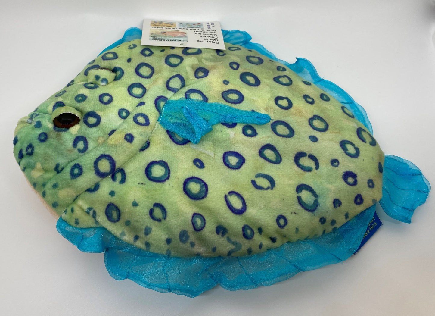 Blink Peacock Flounder