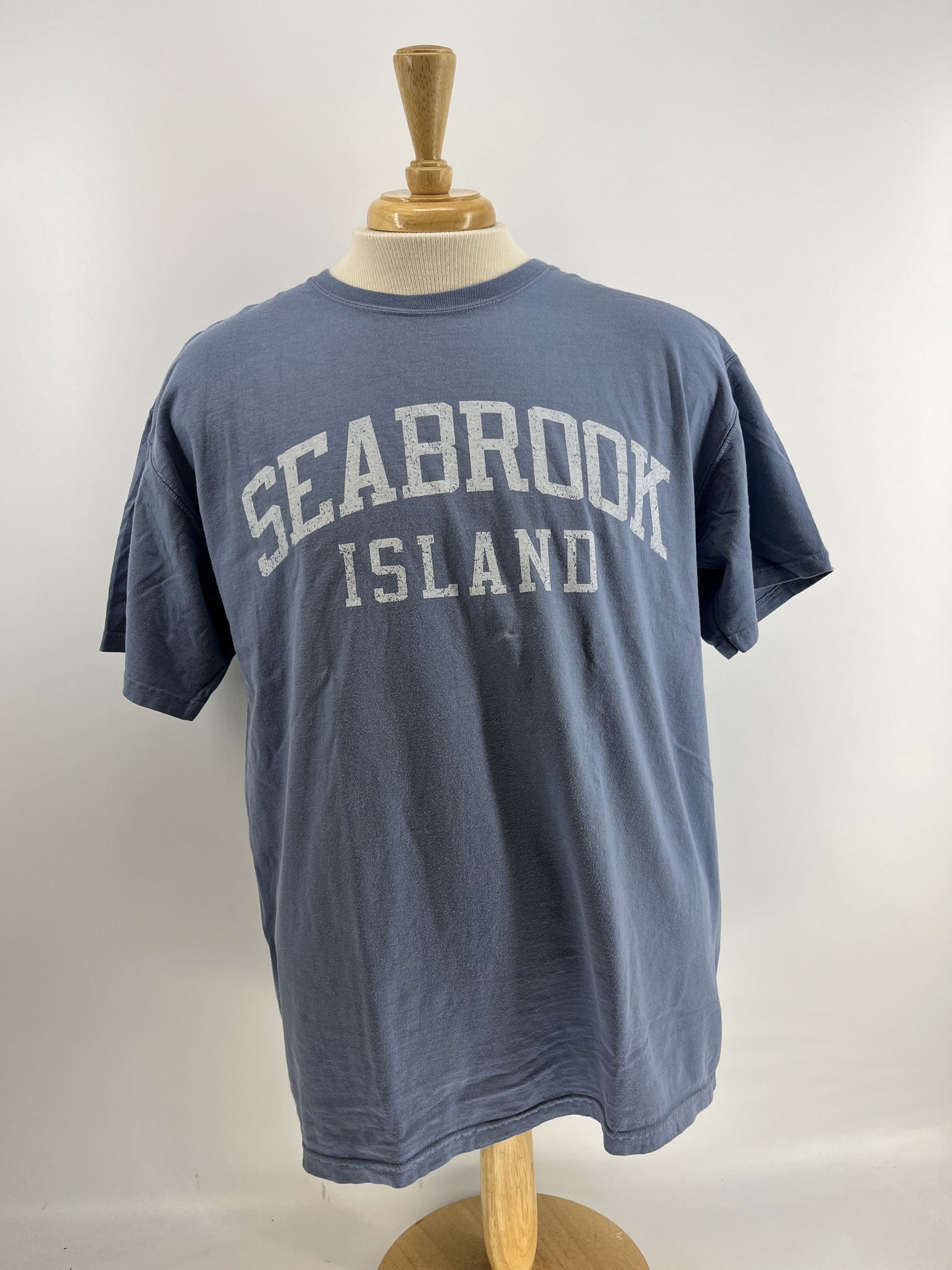 SI SS Tee Arch - Saltwater