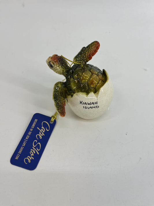 KI Baby Turtle Hatching from Shell