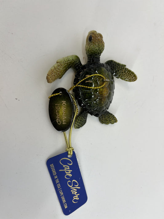 KI Hi Gloss Baby Turtle