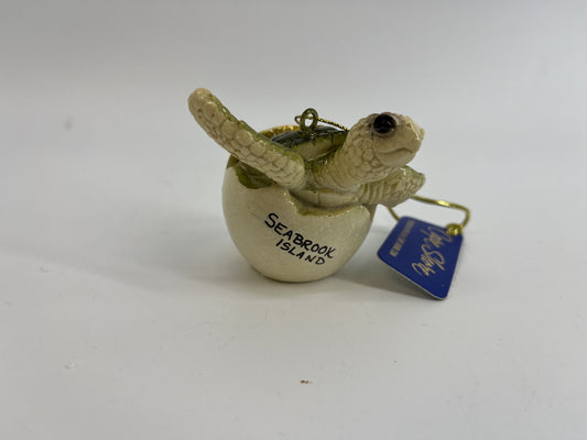 SI Baby Turtle Hatching from Shell