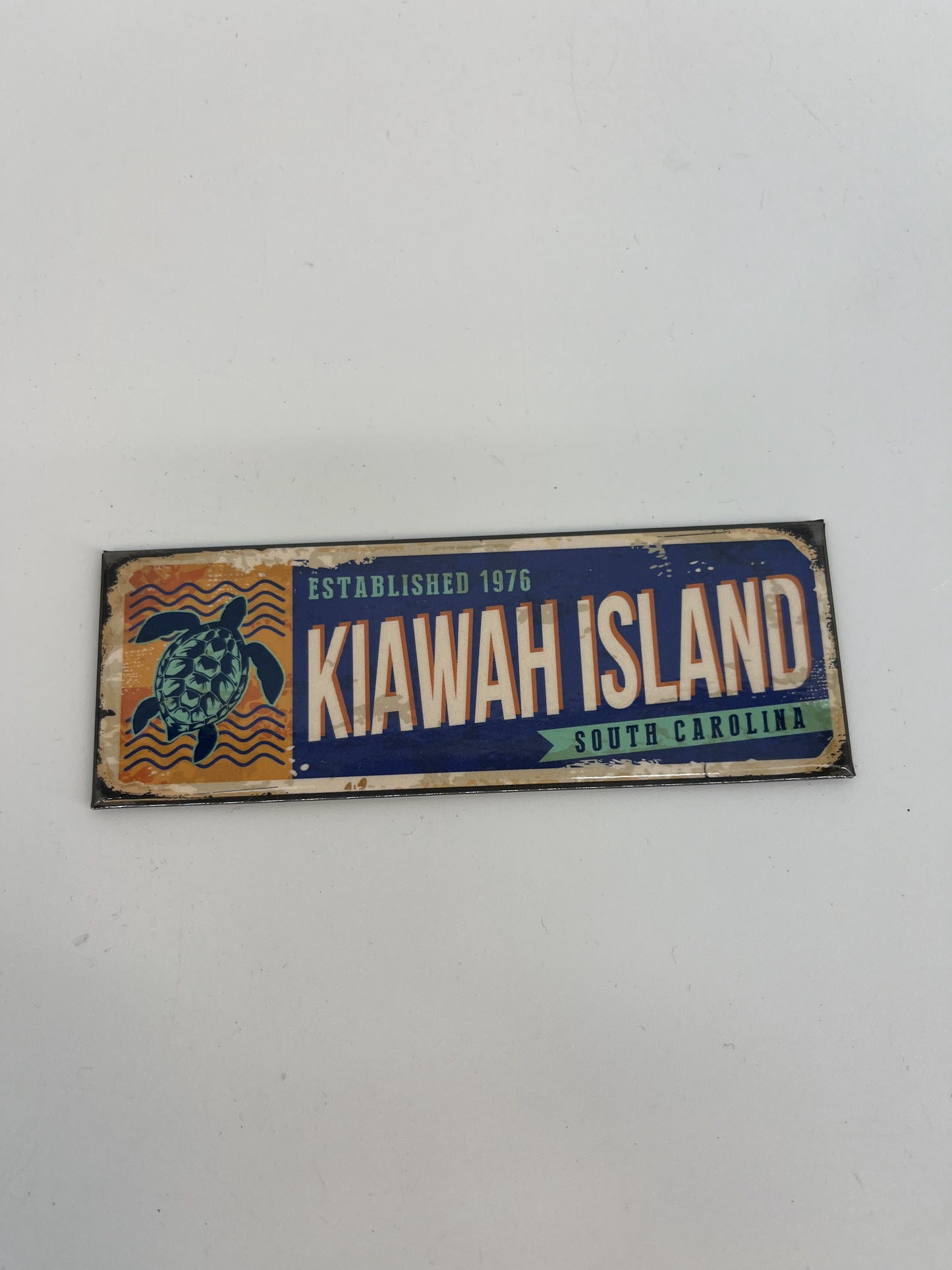 KI Org/Blue Turtle Pano Magnet
