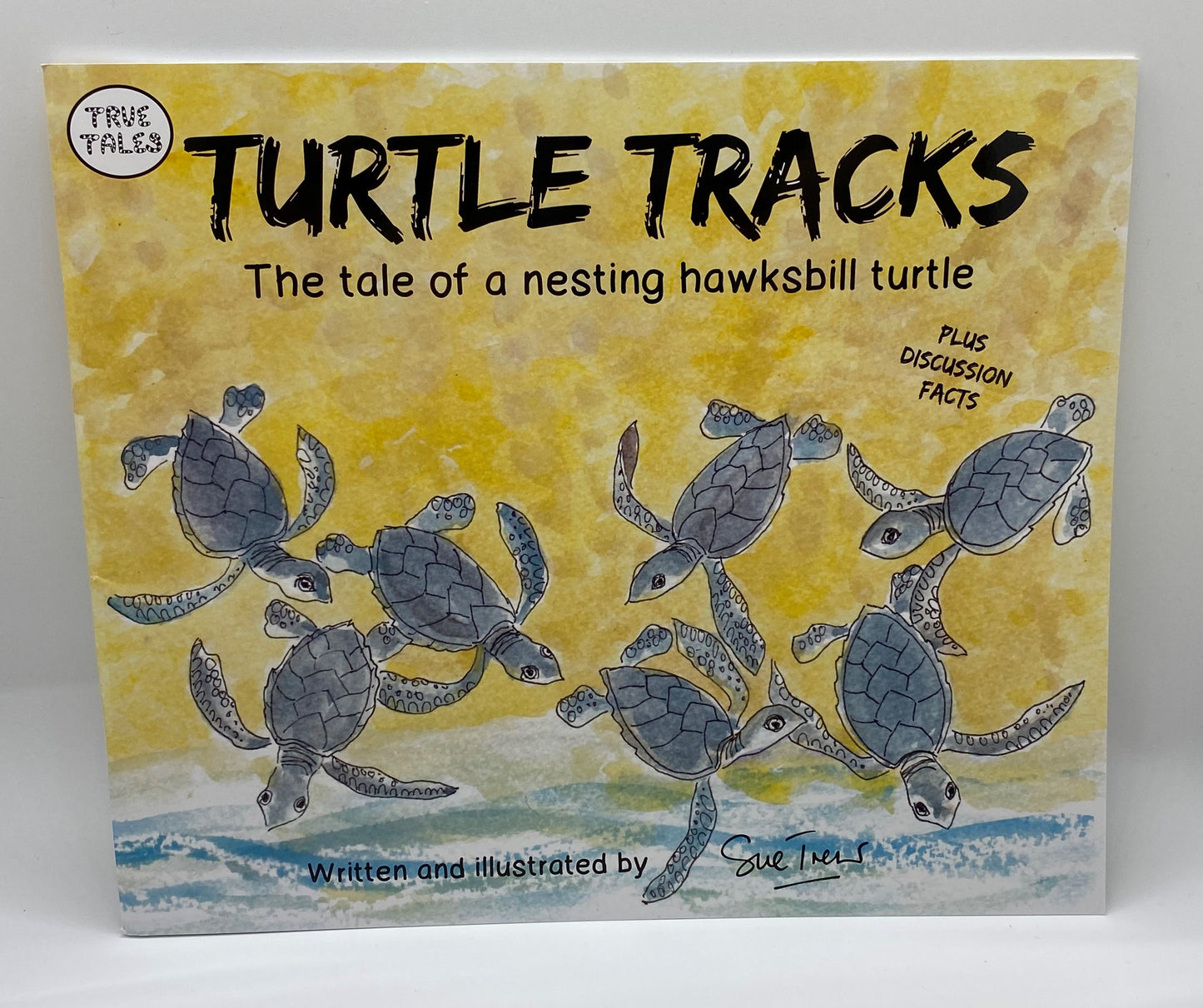 Turtle Tracks Book